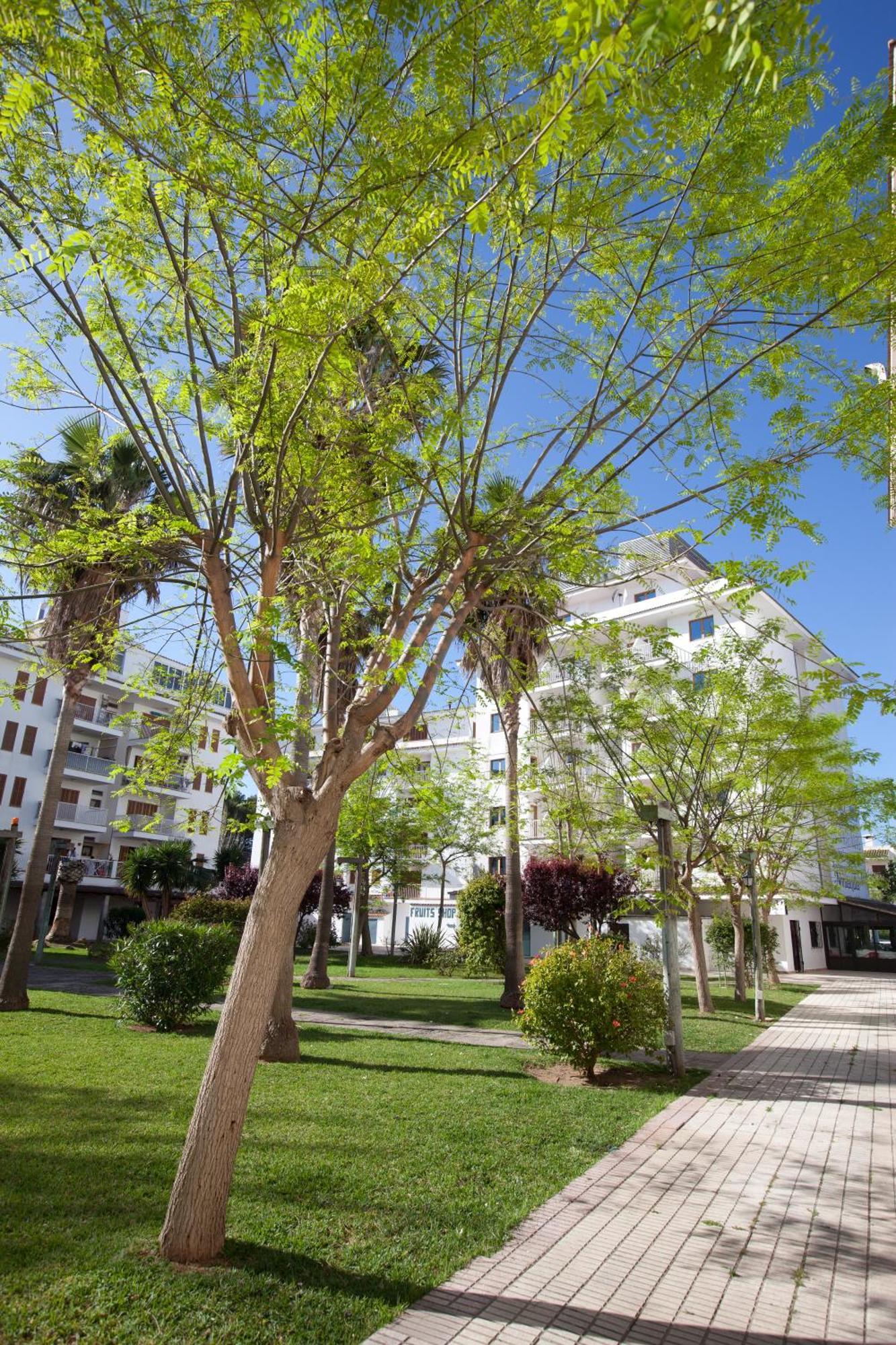 Apartamentos Ferrer Lime Tamarindos Пуерто де ла Аркудия Екстериор снимка